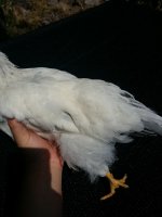 20170808_162452.jpg