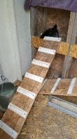 20170812_074031.jpg