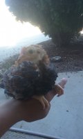 20170812_160528.jpg
