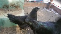 20170812_173911.jpg