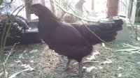 20170812_173745.jpg