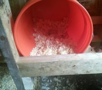 IMG_20170812_113205.jpg