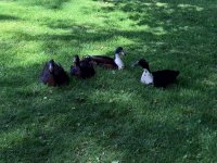 WP_20170518_16_41_34_Pro_LI.jpg