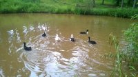 WP_20160820_021.jpg