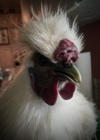 IMG_9846.JPG