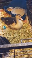 20170813_105820.jpg