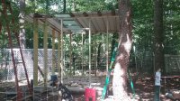 20170813_145156.jpg