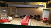 20170613_084346.jpg