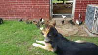 20170626_105838.jpg