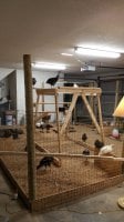 20170813_210243.jpg