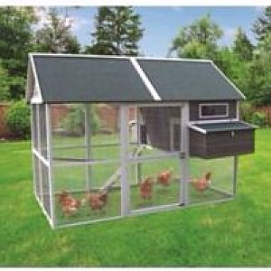 Innovation Pet Extra Large Green Walk-In Coop, Up to 15 Chickens