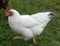 20170815_222040.jpg
