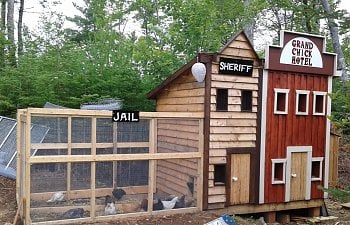 How do you like my new 6x8 coop?