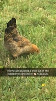 image.jpeg image.jpeg