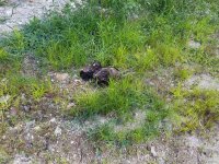 20170817_071437.jpg