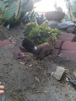 20170817_071611.jpg