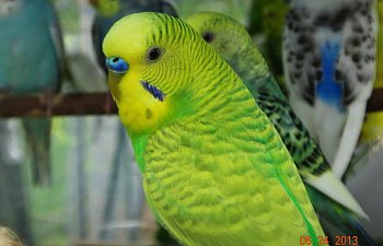 IMG_6432.JPG