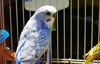 IMG_6434.JPG
