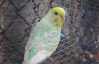 IMG_6437.JPG