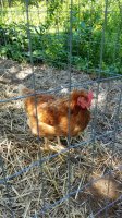 20170810_103455.jpg