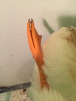 IMG_3938.JPG