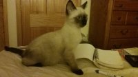 20170817_235747.jpg