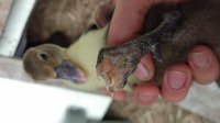 IMG_20170818_100602.jpg