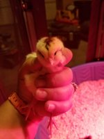 20170818_100519.jpg