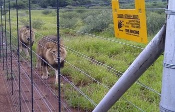 smart fence- solar fencing.jpg