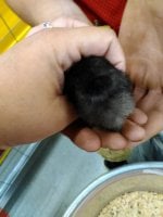 IMG_20170821_155750.jpg