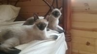 20170822_101519.jpg