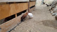 20170821_080644.jpg