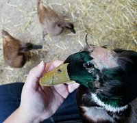 2017-08-23_22.31.42.jpg