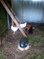 20170715_193307.jpg