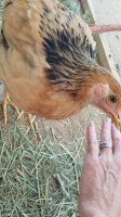 20170825_090057.jpg