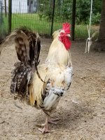 20170825_144558.jpg