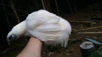 20170825_191056.jpg