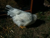 20170825_170611.jpg