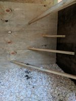 IMG_20170823_183336.jpg