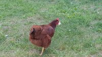 20170826_164754.jpg
