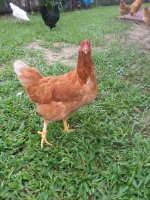 20170816_091053.jpg