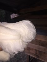 IMG_2795.JPG