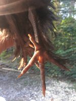 IMG_2819.JPG