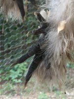IMG_2805.JPG