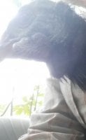 20170824_111213-1.jpg
