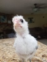 20170827_141348.jpg
