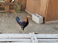 20170827_180917.jpg