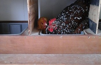 20170830_094232.jpg