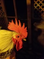 20170421_202742.jpg