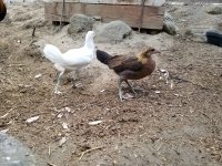 20170831_065244.jpg
